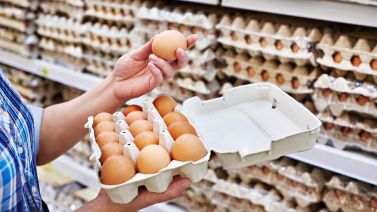 29/07/2021 – ✅ HUEVO PARA CONSUMO: Blancos: de $ 80,00 a $ 80,35 ↔️ Color: de $ 83,35 a $ 84,00 ↔️ 29/07/2021 – ✅ HUEVO PARA CONSUMO: Blancos: de $ 80,00 a $ 80,35 ↔️ Color: de $ 83,35 a $ 84,00 ↔️