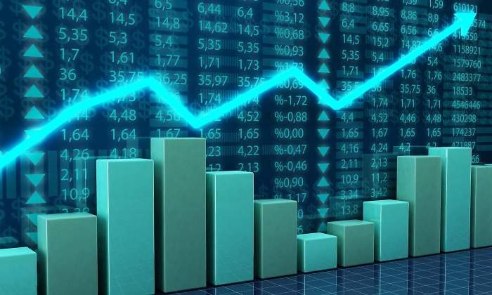 Análisis del mercado del pollo parrillero y el huevo para consumo de la segunda semana de Agosto