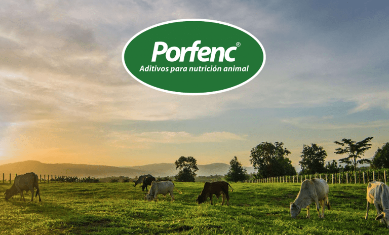 Porfenc , una empresa Argentina que redobla el compromiso con el sector