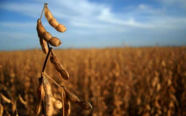 ¿Las retenciones llegaron para quedarse? ¿Cuál es la postura del campo? ¿Las retenciones llegaron para quedarse? ¿Cuál es la postura del campo?