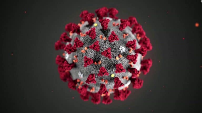 Coronavirus: “Las primeras pruebas para una vacuna están dando bien y hay contactos para que salga antes de tiempo”