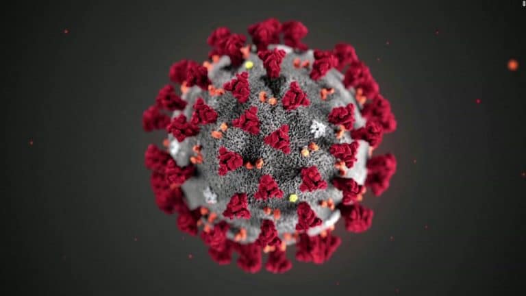 Coronavirus: “Las primeras pruebas para una vacuna están dando bien y hay contactos para que salga antes de tiempo” Coronavirus: “Las primeras pruebas para una vacuna están dando bien y hay contactos para que salga antes de tiempo”