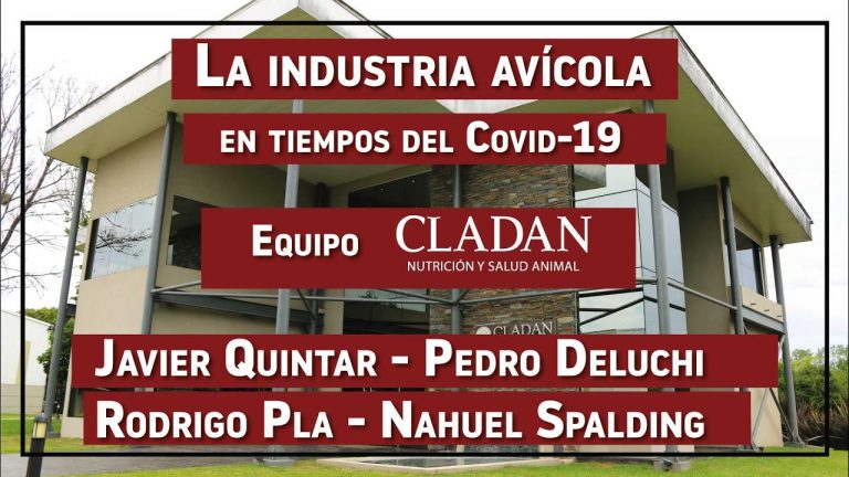 La industria avícola en tiempos del Covid-19 EP 11: Cladan y su equipo comercial