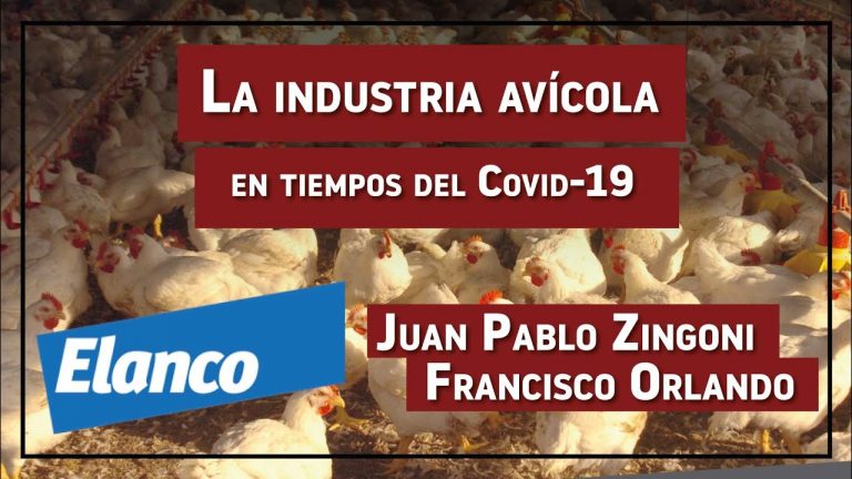 La industria avícola en tiempos del Covid-19 EP 2: Elanco™ – M.V Juan Pablo Zingoni y M.V Francisco Orlando