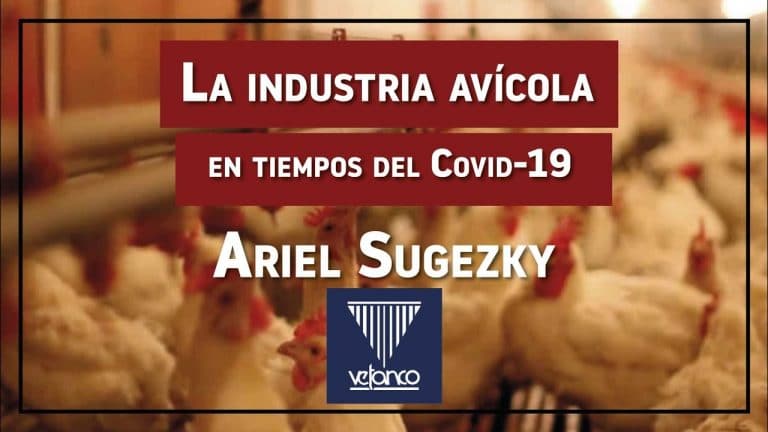 La industria avícola en tiempos del Covid-19 EP 3: Ariel Sugezky de Vetanco
