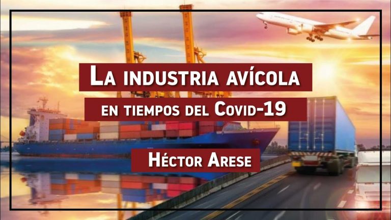 La industria avícola en tiempos del Covid-19 EP 6: Héctor Arese – Licenciado en Comercio Exterior La industria avícola en tiempos del Covid-19 EP 6: Héctor Arese – Licenciado en Comercio Exterior