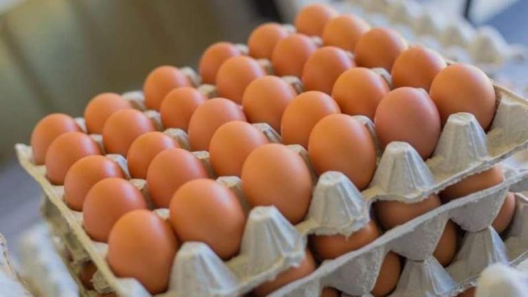 ¿A qué se debe la recuperación de precios en el mercado del huevo para consumo? ¿A qué se debe la recuperación de precios en el mercado del huevo para consumo?