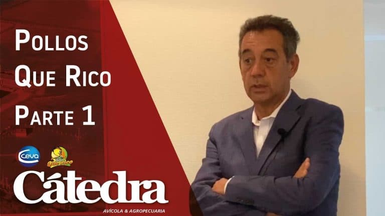 Pollos Que Rico: Entrevista con Alberto Zeballos – Parte 1