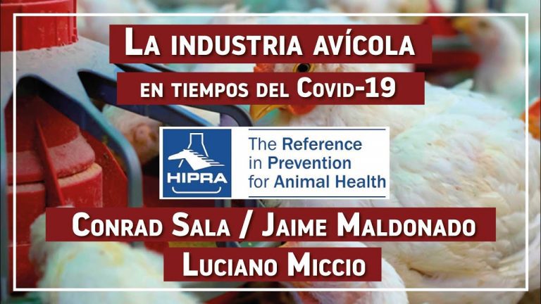 La industria avícola en tiempos del Covid-19 EP 12: Hipra Salud Animal