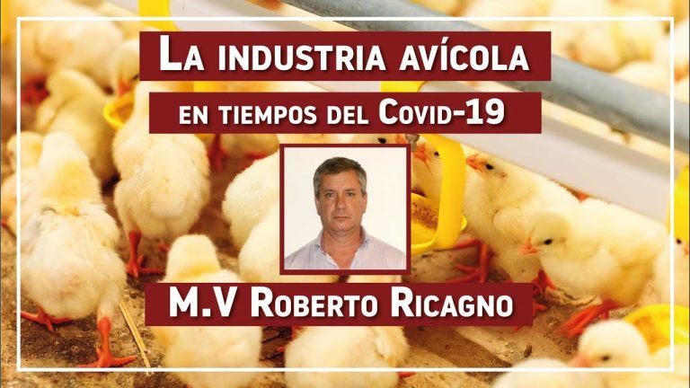 La industria avícola en tiempos del Covid-19 EP 15: M.V Roberto Ricagno