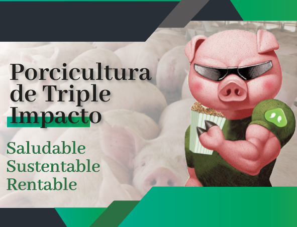 NUEVO Webinar de BioAromas próximo jueves a las 10hs – Porcicultura de Triple impacto: Saludable, Sustentable y Rentable