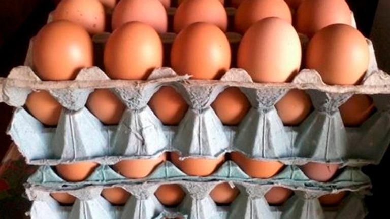 Productores avícolas advirtieron que el congelamiento de precios impacta muy fuerte en el sector Productores avícolas advirtieron que el congelamiento de precios impacta muy fuerte en el sector