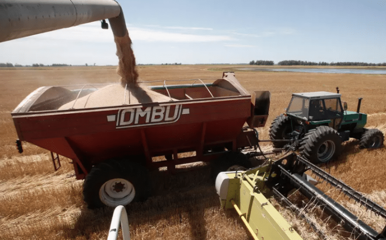 Reorganización impositiva: condiciones que deben cumplir las empresas del agro Reorganización impositiva: condiciones que deben cumplir las empresas del agro
