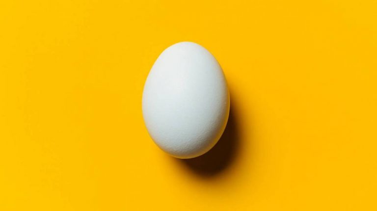 Calidad del huevo: factores que afectan durante el período de almacenamiento