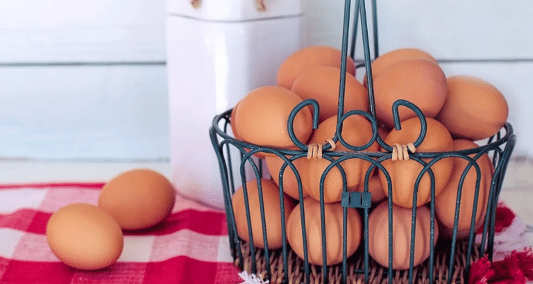 Ochos tips para conservar y manejar el huevo