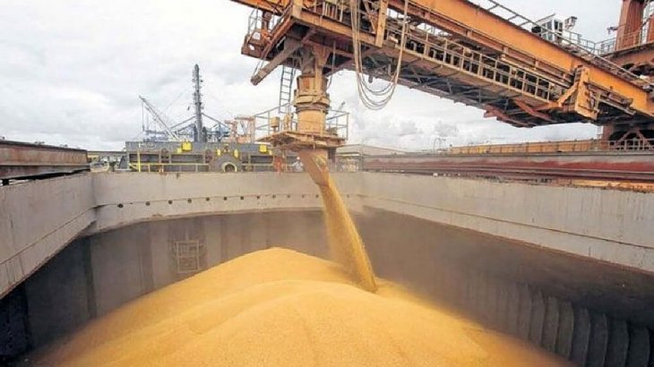 Granos: en primer bimestre saltaron las declaraciones de exportaciones Granos: en primer bimestre saltaron las declaraciones de exportaciones