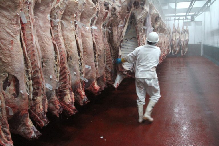 Un repaso por todos los impuestos que afectan a los productores de carne Un repaso por todos los impuestos que afectan a los productores de carne