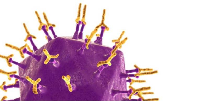 CEVA y su visión sobre Gumboro: Vacunación contra IBD con Cevac Transmune®