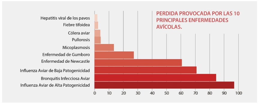 Figura 1: Atlas mundial de enfermedades del ganado: un análisis cuantitativo de los datos mundiales de sanidad animal (2006-2009). Banco Mundial, noviembre de 2011. LSU: Unidad de Ganadería.