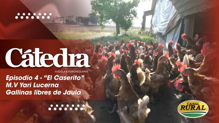Cátedra Avícola – Episodio 4 – El Caserito: Transformando la crisis en oportunidad
