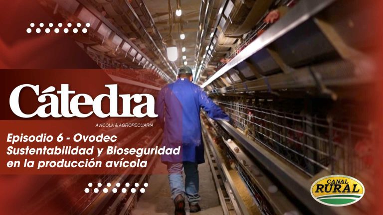 Cátedra Avícola – Episodio 6 – Ovodec Sustentabilidad y Bioseguridad en la producción avícola