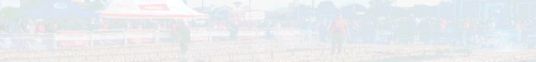 spot_img