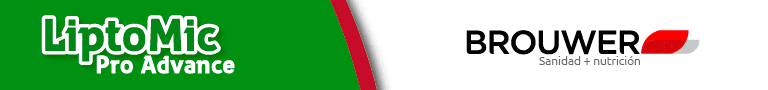 spot_img