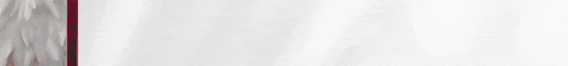 spot_img